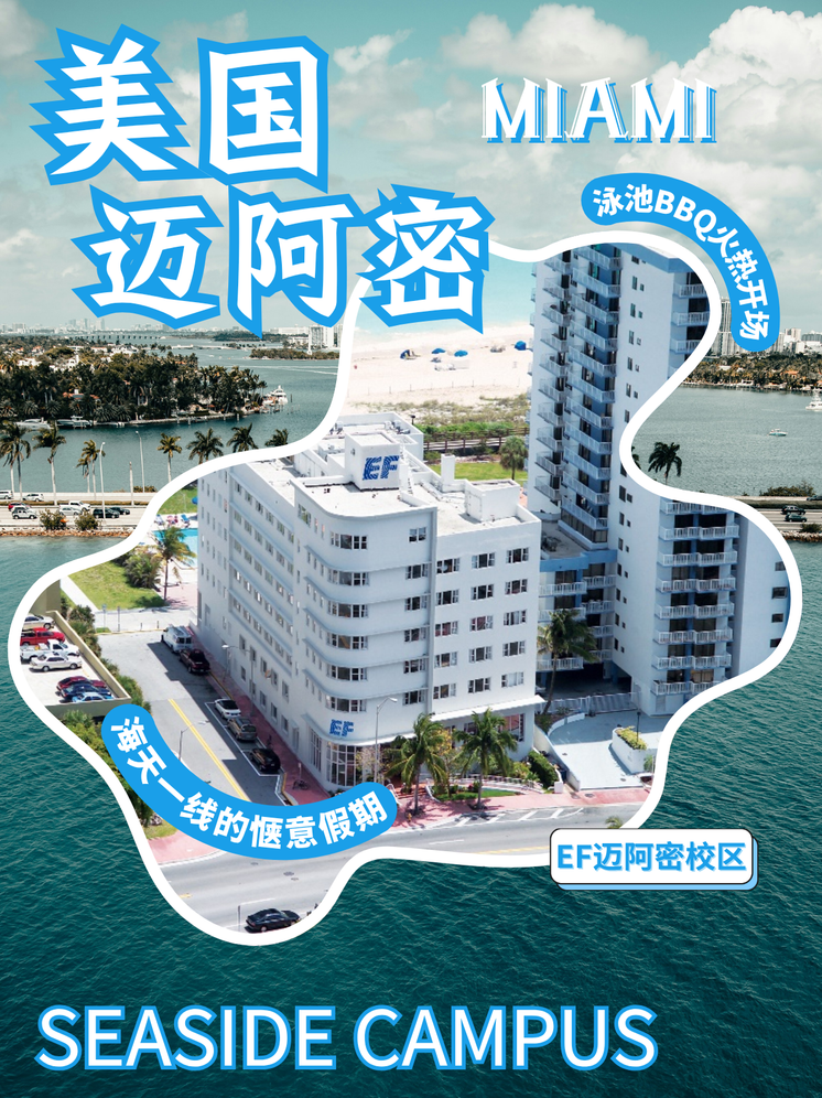 迈阿密视觉设计
